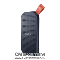 SanDisk SSD Portable 1TB USB 3.2 Gen 2 Type-C  [820MB/s] (220038)