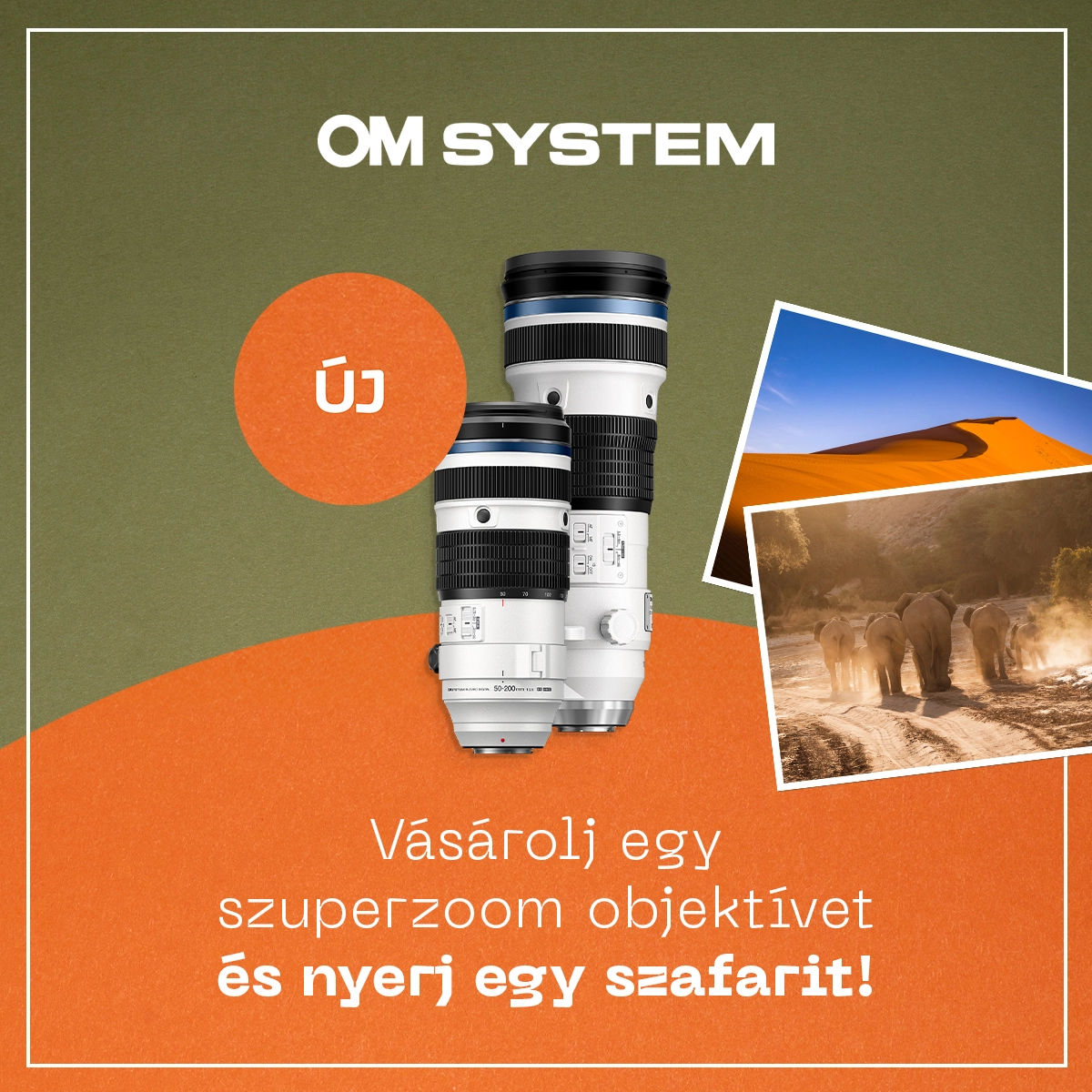 Kép