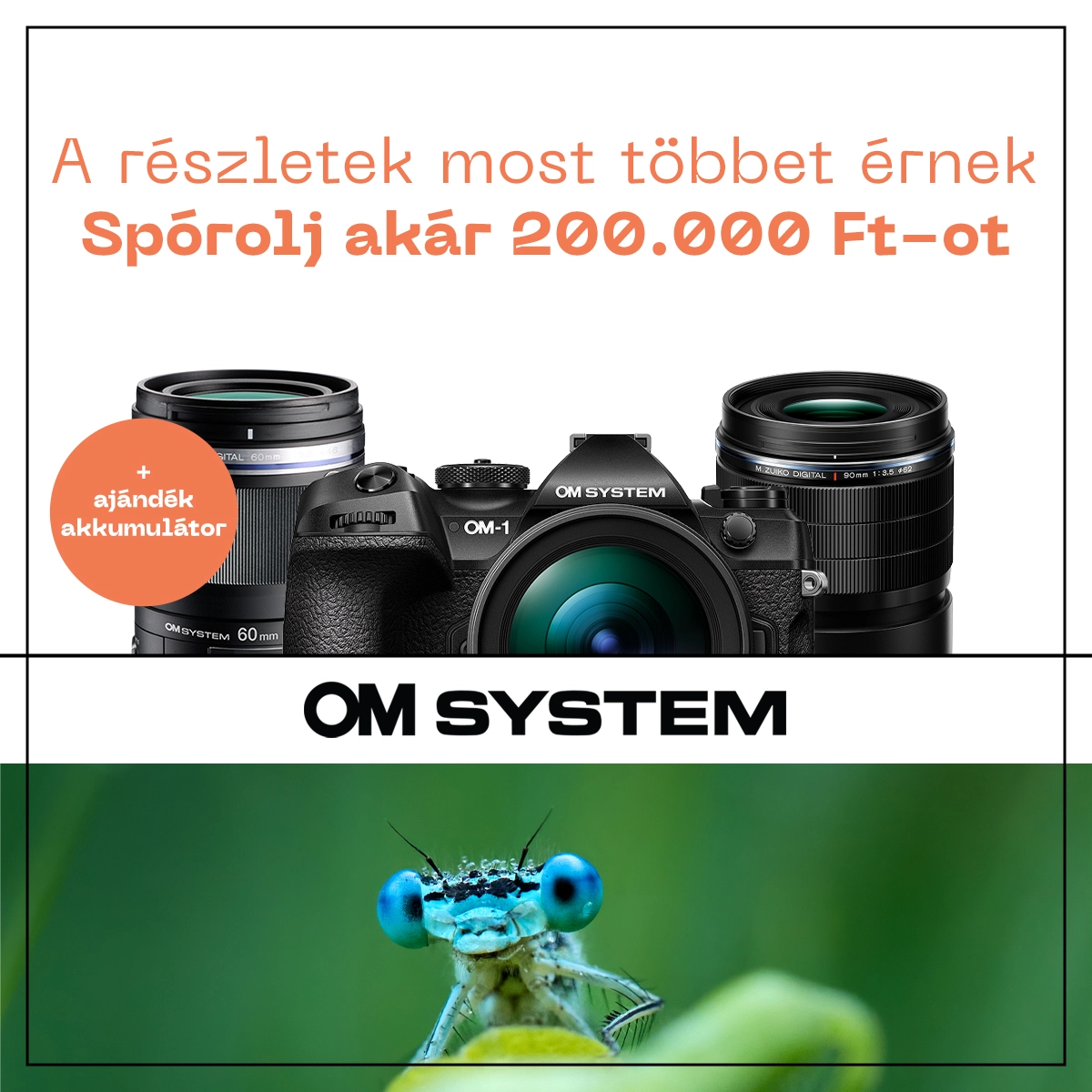 Makró szezon – Cashback