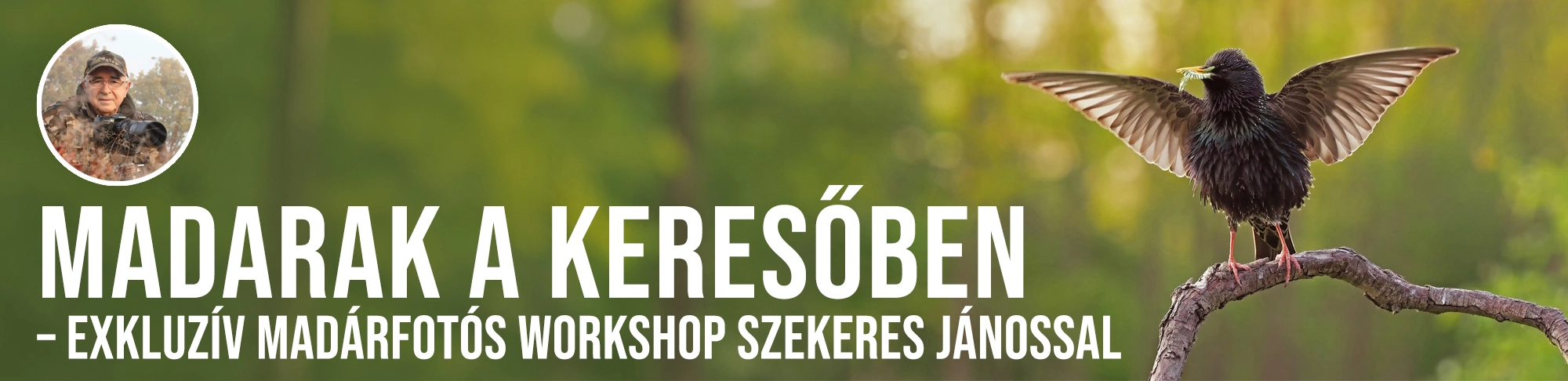 SZekeres János madárfotós workshop