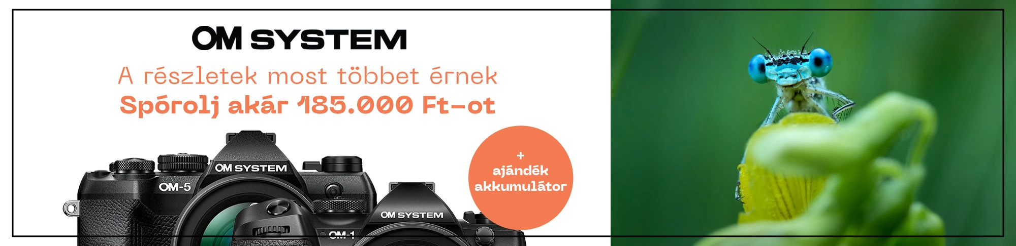 Makró szezon – Cashback