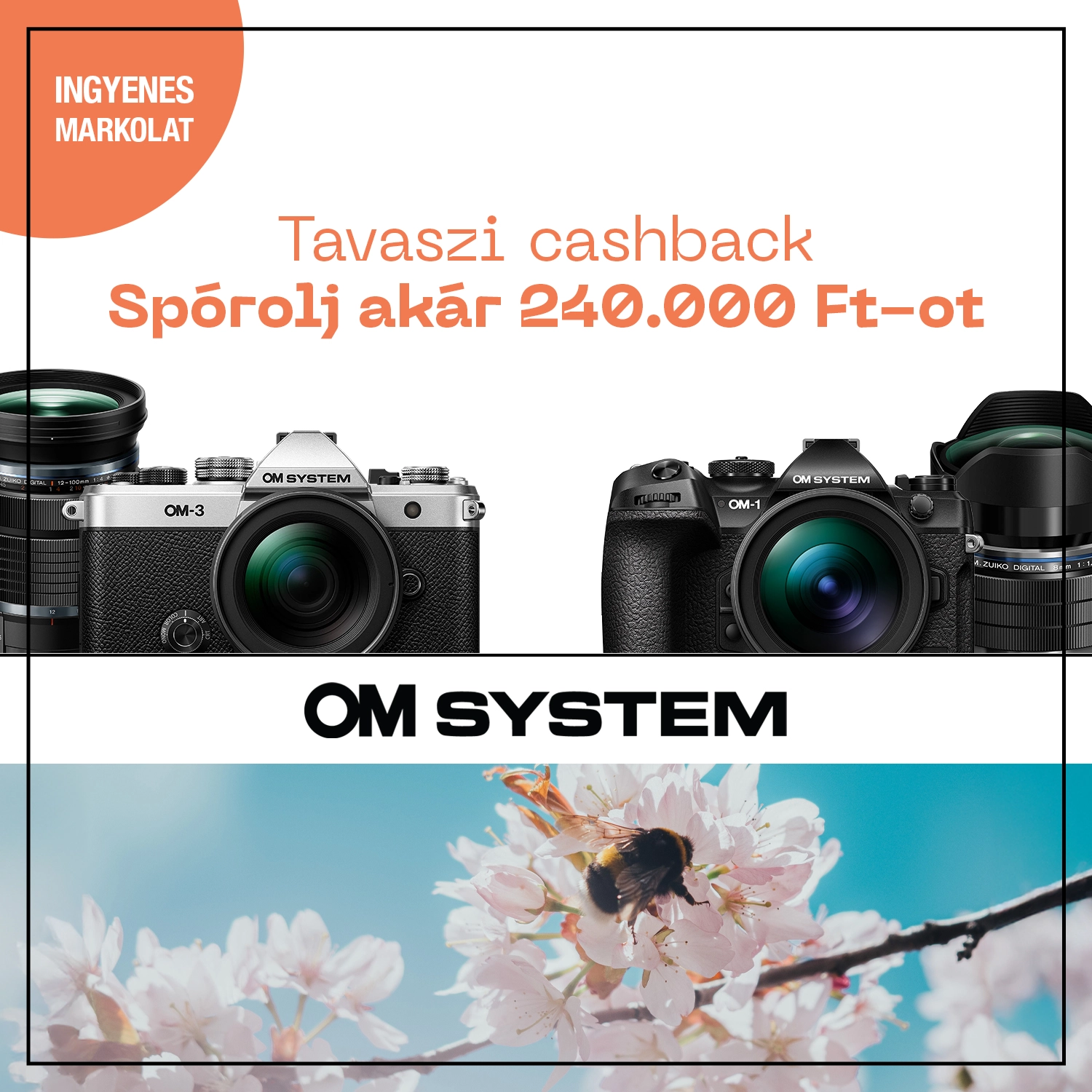 Tavaszi pénzvisszatérítés